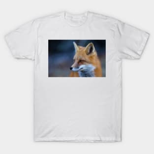 Red Fox - Algonquin Park, Canada T-Shirt